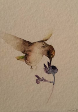 hummingbird gift